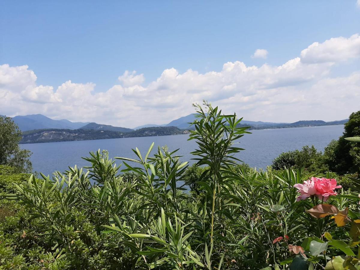 Bmp Apartment Gioiosa 1 Terrazza Vista Lago 벨지라테 외부 사진